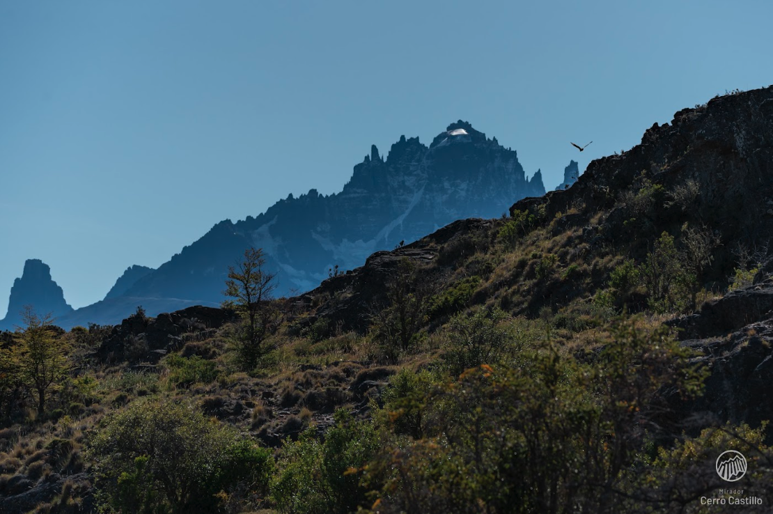 Praderas soleadas con exposición natural para energía solar en Mirador Cerro Castillo